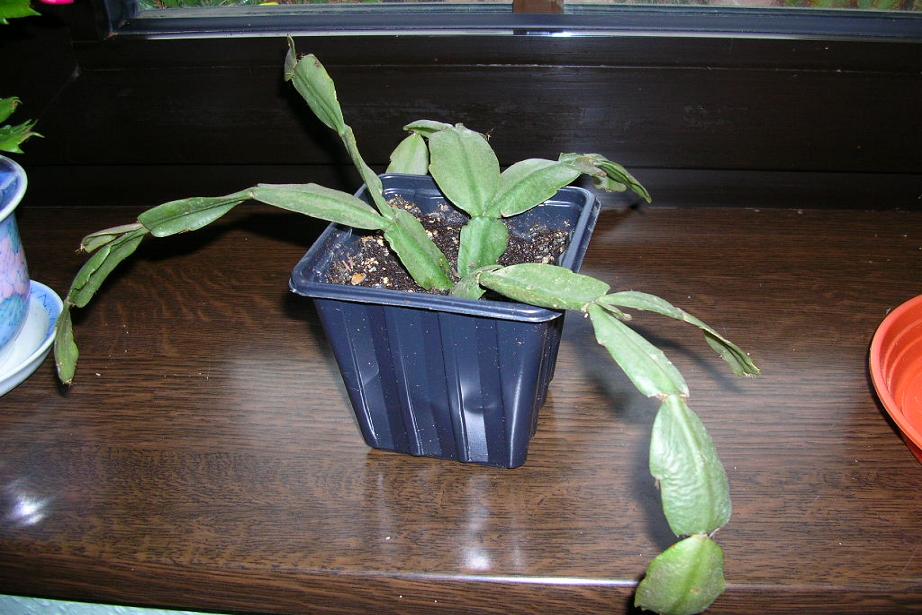 DSCN5856.JPG