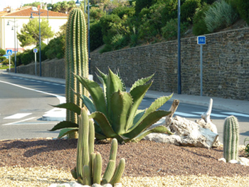rond point.jpg