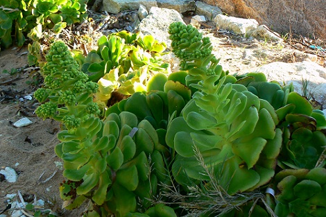 P1320593w.jpg