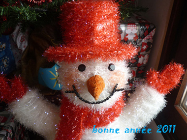 1 er janvier 2011.jpg