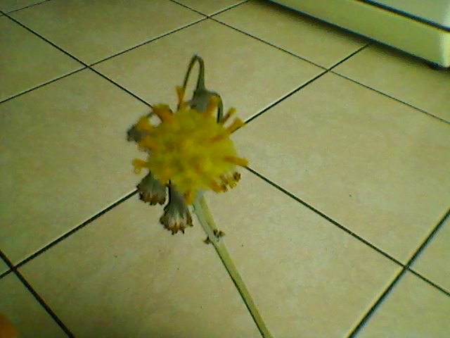 SP_A0188.jpg