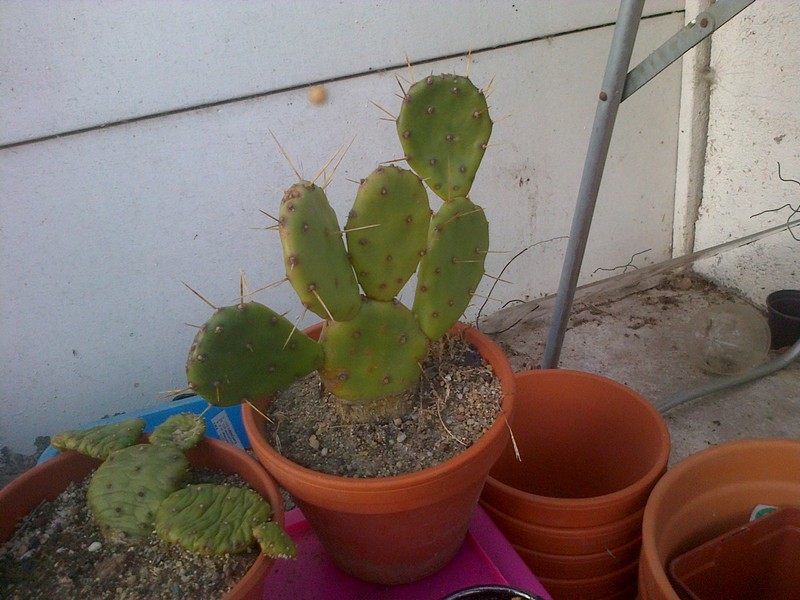 IMG-20130226-000052.jpg