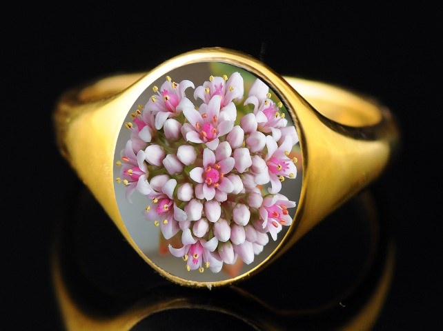 bague.jpg