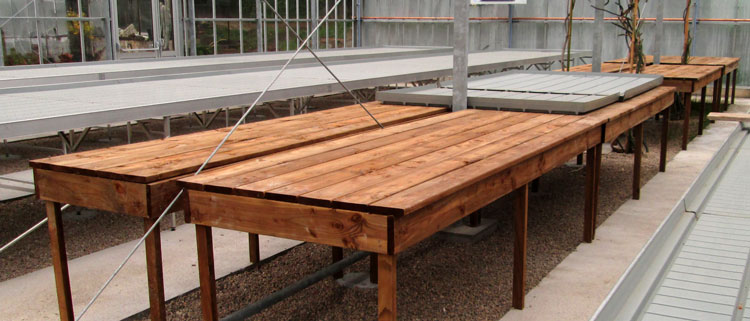 chantier46.jpg