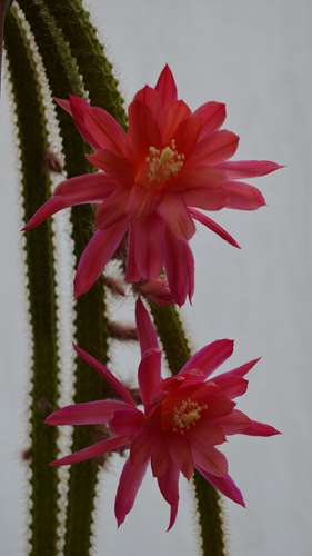 DSC_5888.jpg