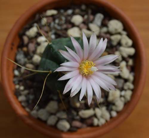 DSC_6083.jpg