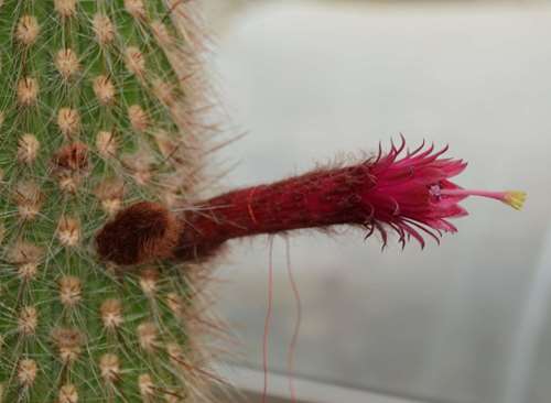 _copie-0_DSC_6310.jpg