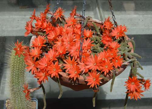 _copie-0_DSC_6147.jpg