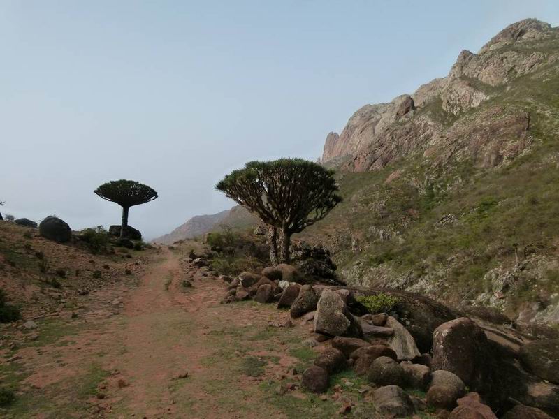 060 Hagghier mts track.jpg