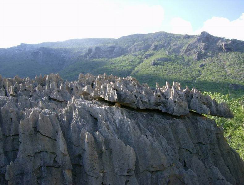 237 relief karstique à Socotra.jpg