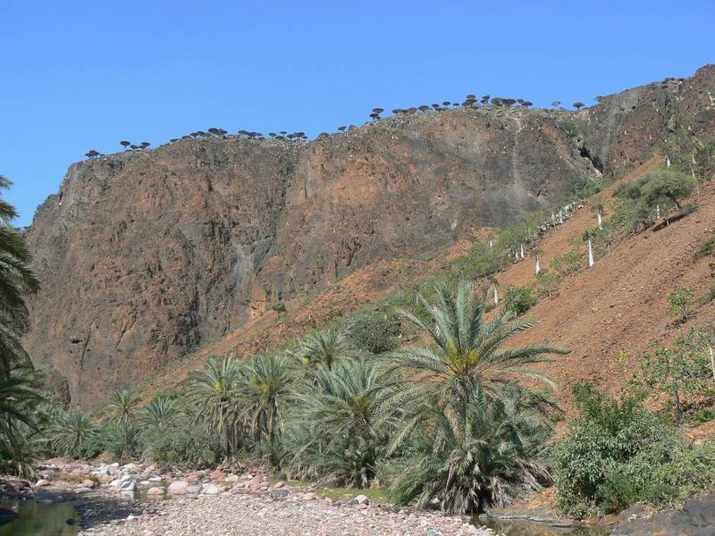 248 Wadi Derhour.jpg