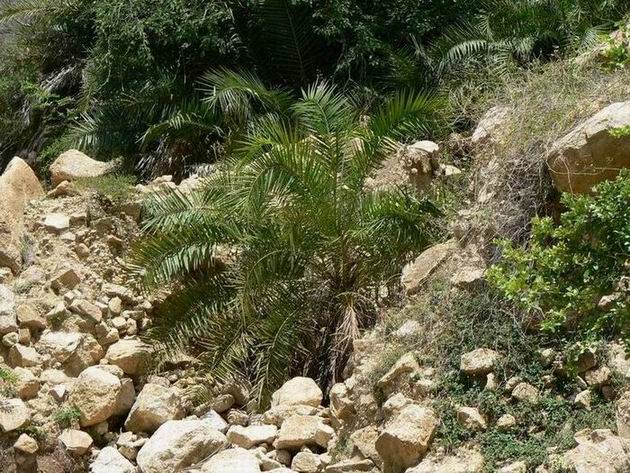 68 Wadi Rijaf, Jabal Bura.jpg