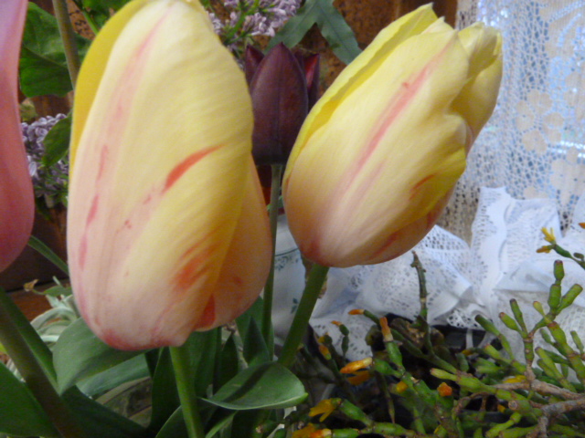 P1030764.JPG
