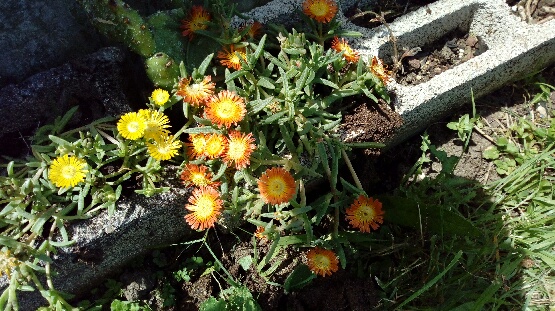 PART_1720361229488.jpg