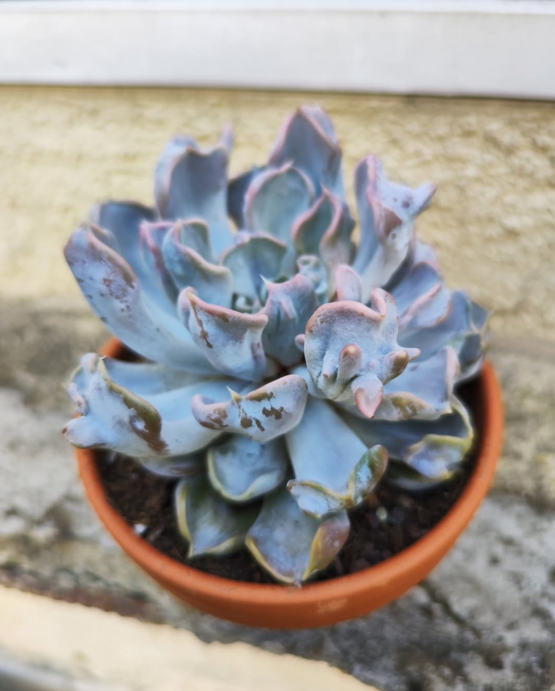 Screenshot 2025-09-05 165252.png